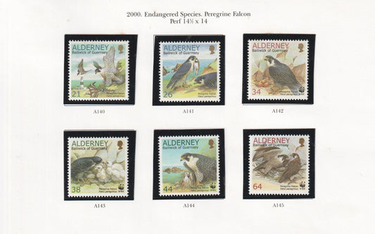 Alderney 2000 - Endangered Species : Peregrine Falcon - MNH