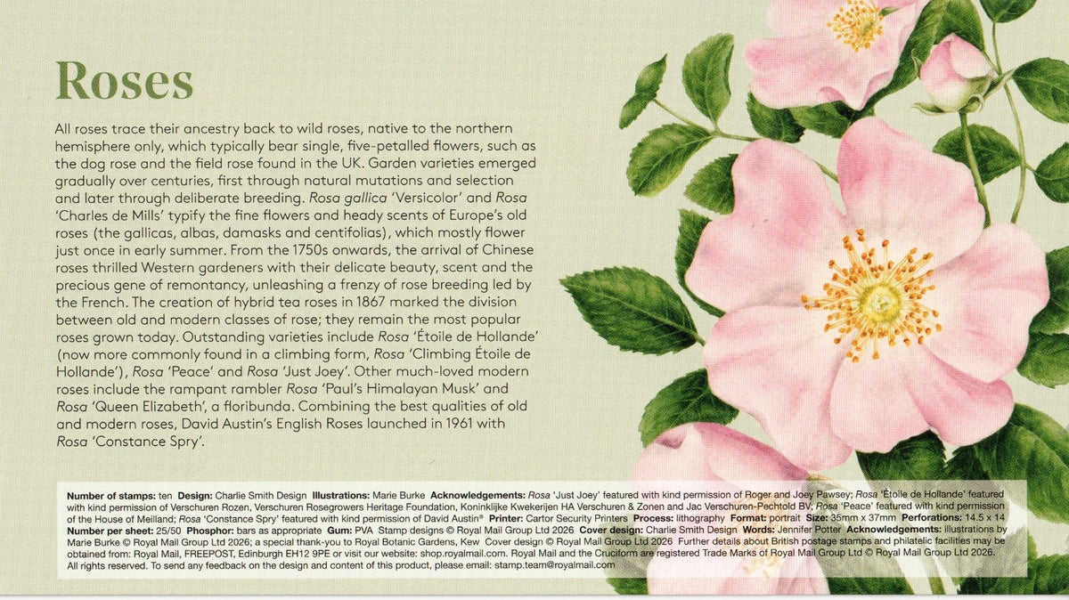 GB 2026 - Roses - Smilers/ Collector  Sheet FDC's (2) - GS184/LS182